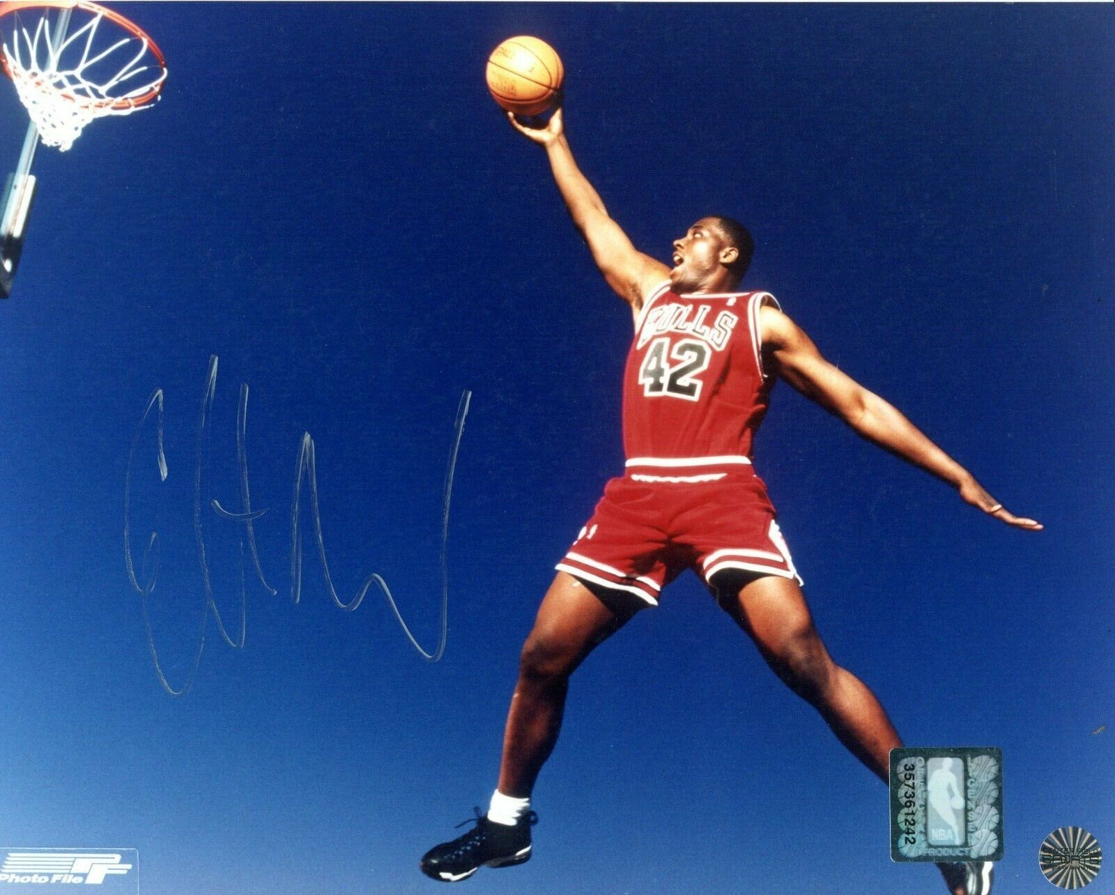 Elton Brand Chicago Bulls Rookie Year Autographed Signed 8x10 Photo Poster painting CFS COA