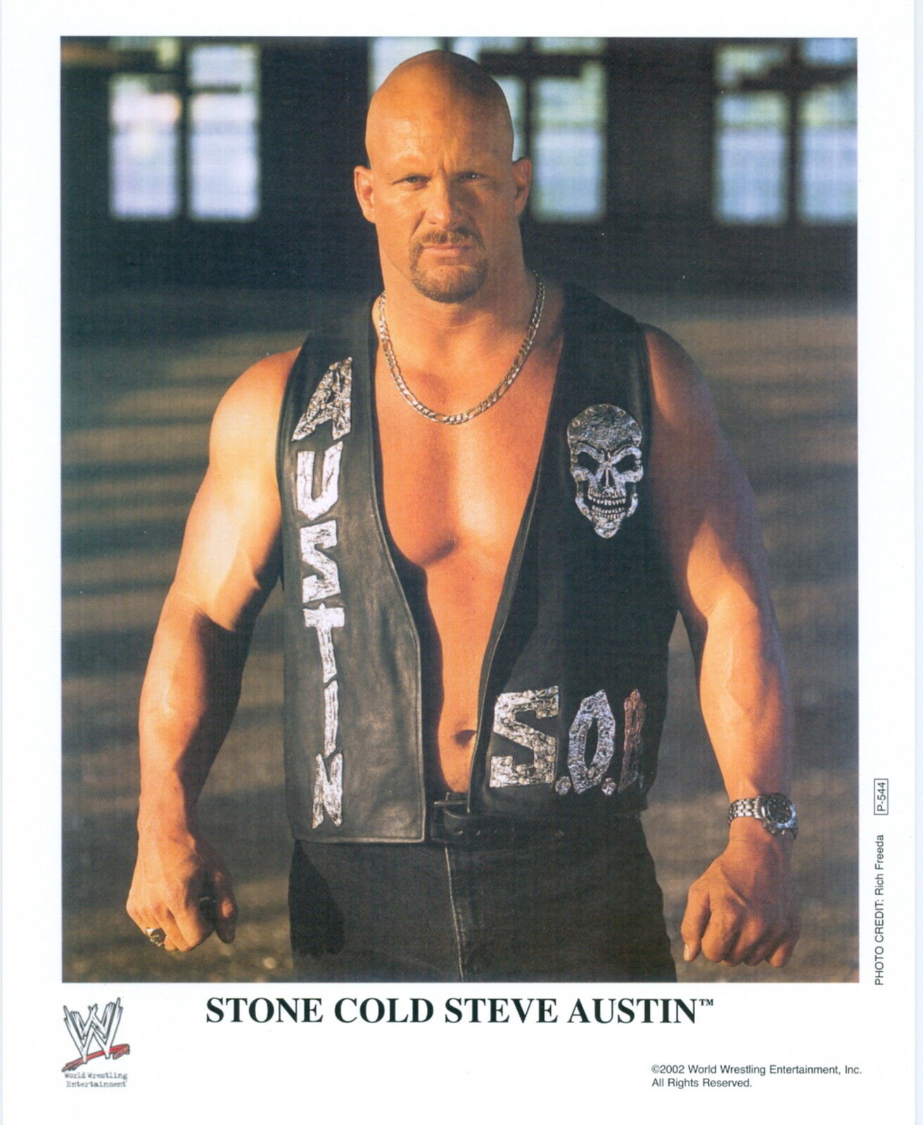 STONE COLD STEVE AUSTIN WWE 8X10 PROMO Photo Poster painting P-544