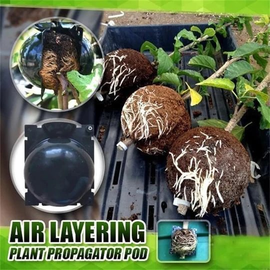 Summer Hot Sale-50%Off🔥Plant Root Growing Box