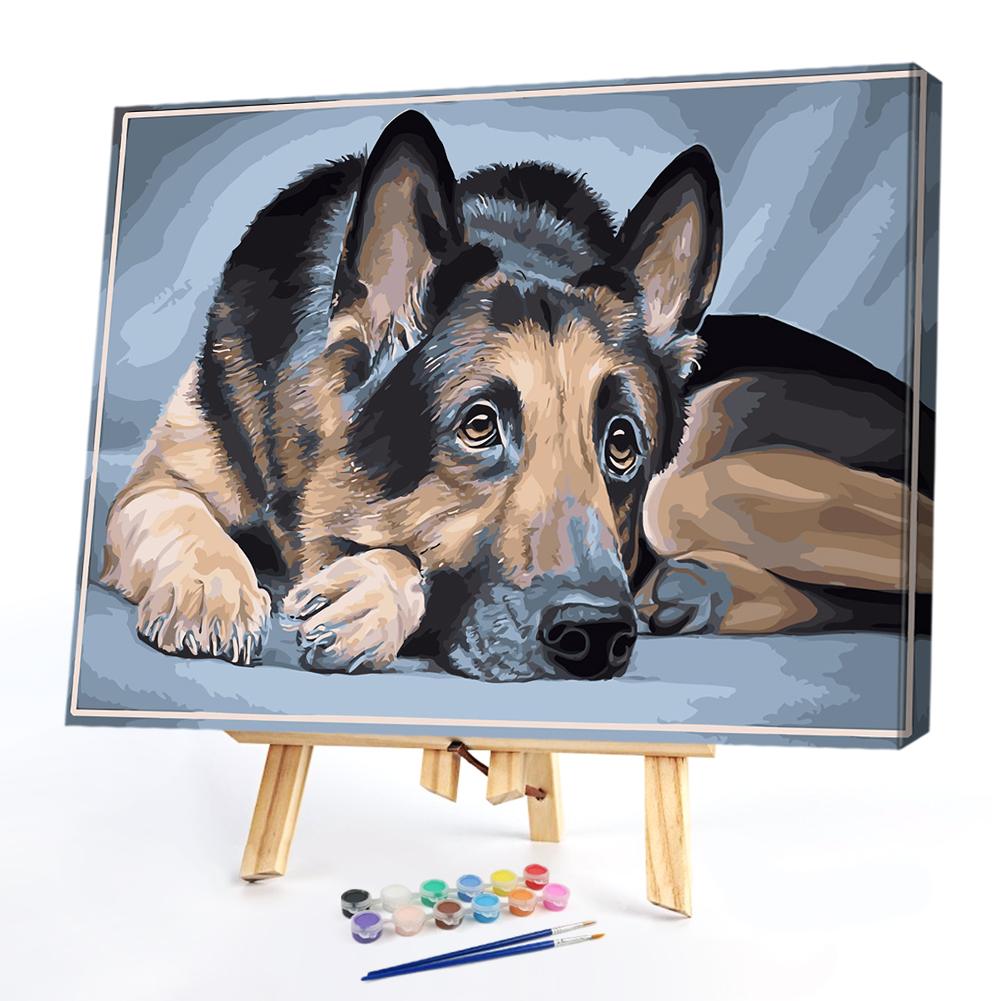 

50*40CM Paint By Numbers-Dog, 501 Original