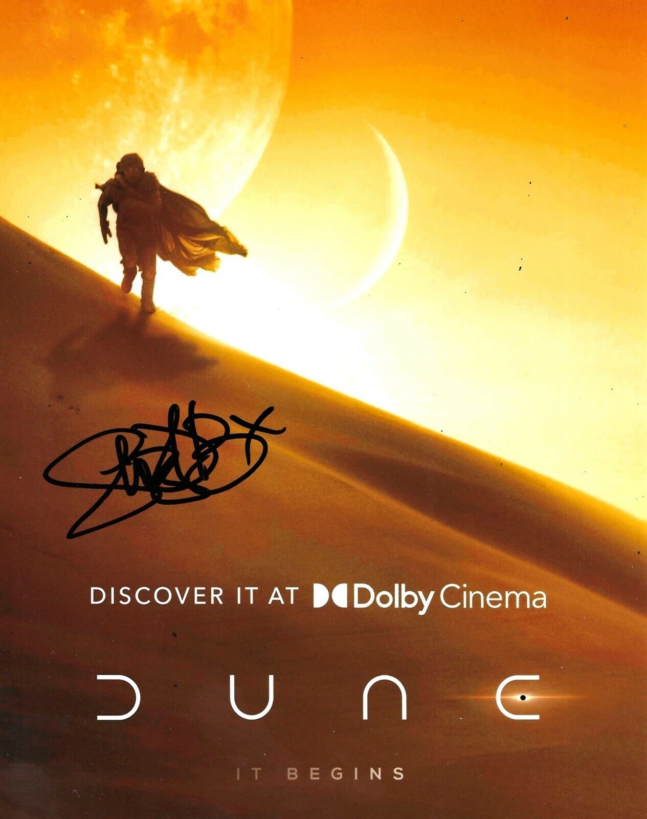 Sharon Duncan-Brewster Signed Dune 10x8 Photo Poster painting AFTAL