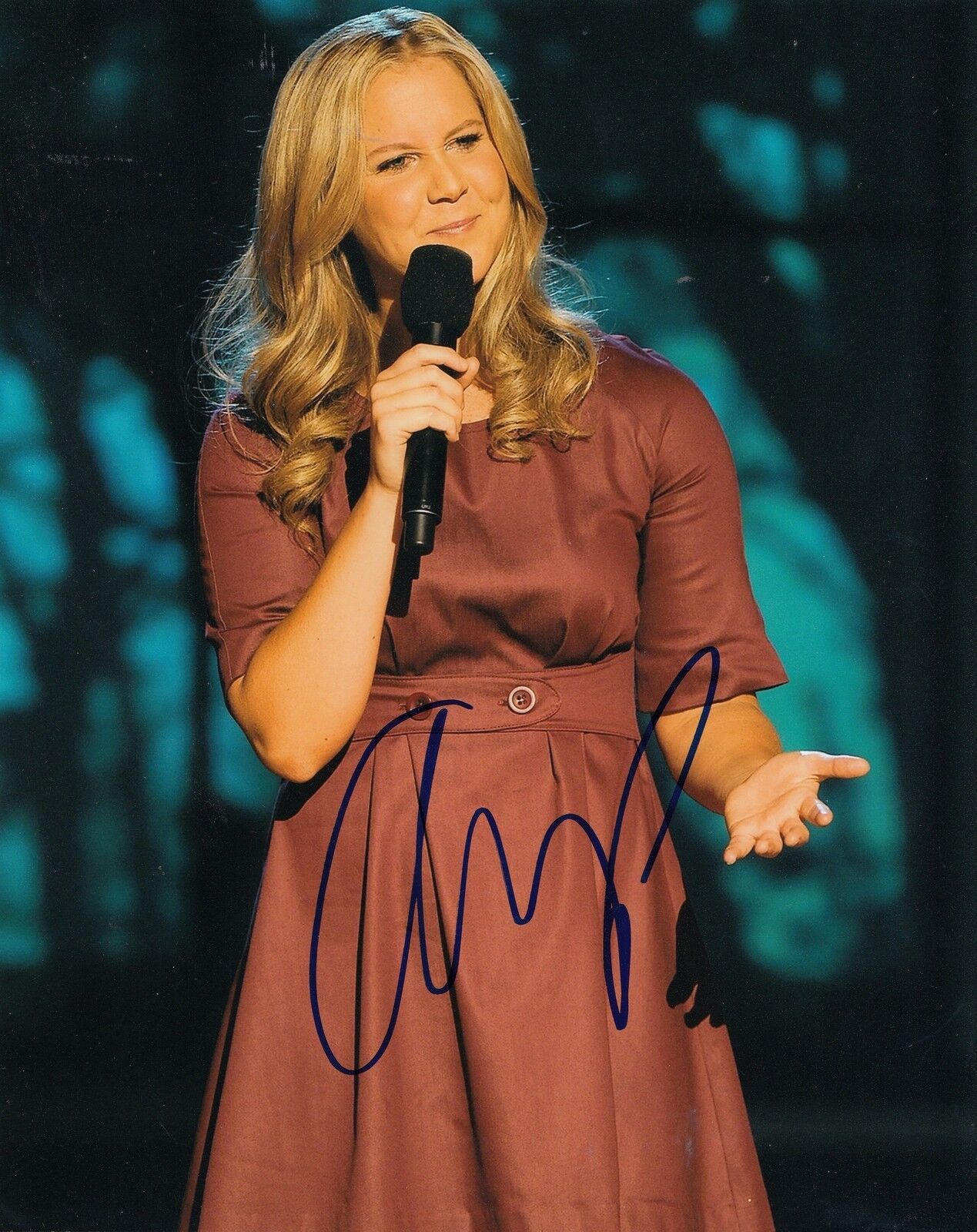 AMY SCHUMER signed *SNATCHED* comedian MOVIE STAR 8X10 Photo Poster painting W/COA TRAINWRECK #2