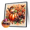 Diamond Painting-DIY Round Part AB Drill Pumpkin Bird(35*35CM)