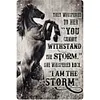 Horse - Vintage Metal Signs - 30*40cm - Western&Farm
