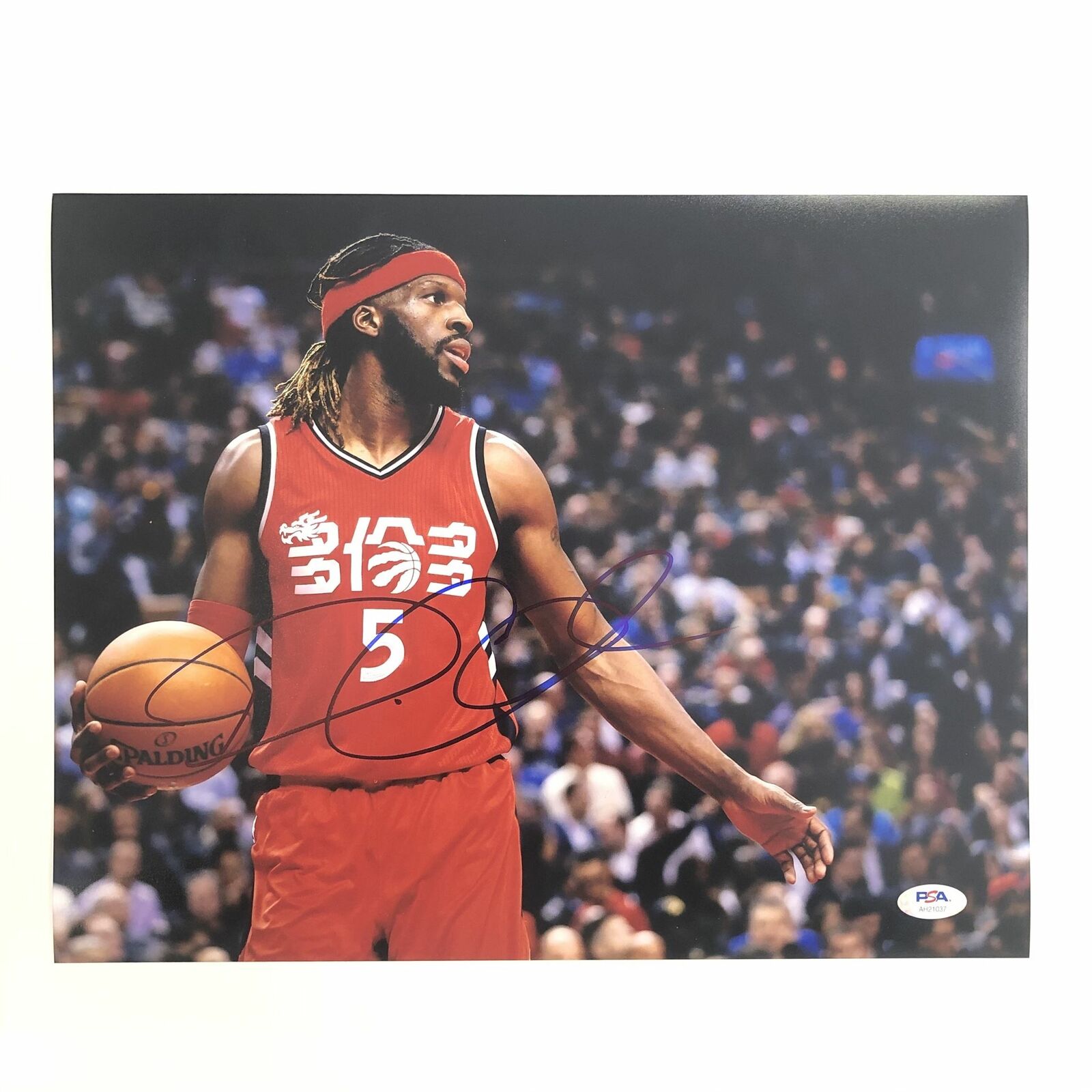 DeMarre Carroll signed 11x14 Photo Poster painting PSA/DNA Toronto Raptors Spurs Autographed