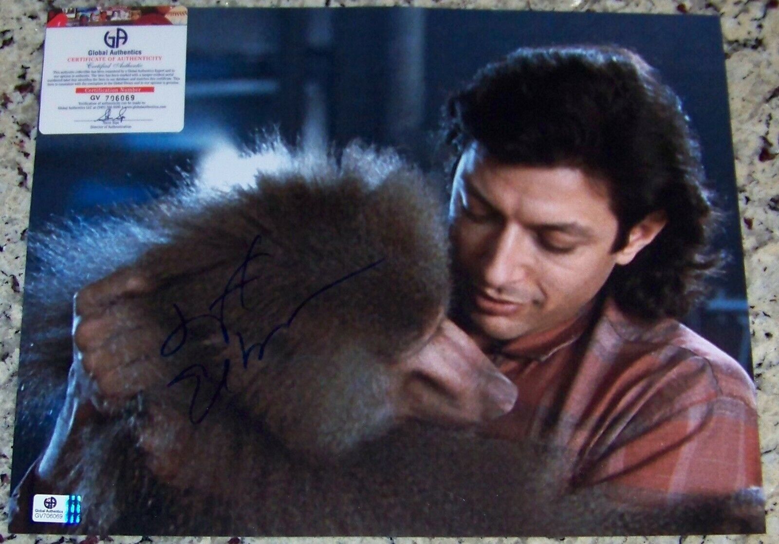 CLEARANCE SALE! Jeff Goldblum Signed Autographed 11x14 Photo Poster painting GV GA GAI COA!