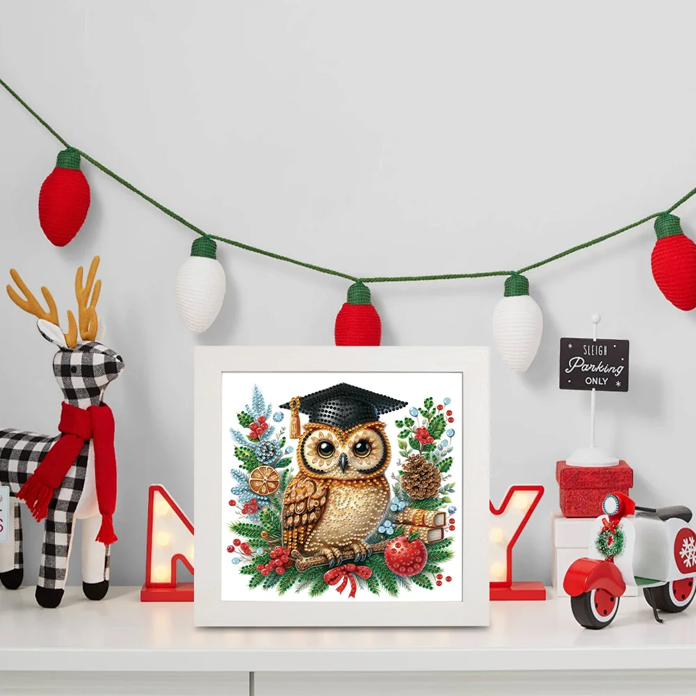 5D DIY Partial Special Shaped Drill Diamond Painting Xmas Owl 22.8x22.8cm【With Frame】