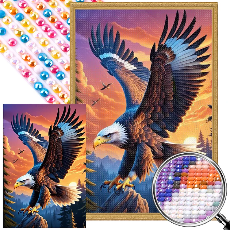 Partial AB Drill - Full Round Diamond Painting - Sunset Eagle 40*60CM