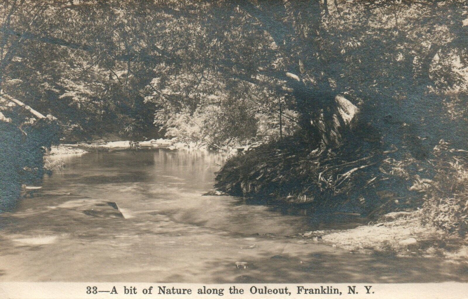 Vintage A Bit of Nature Along The Ouleout Franklin NY RPPC Real Photo Poster painting Postcard