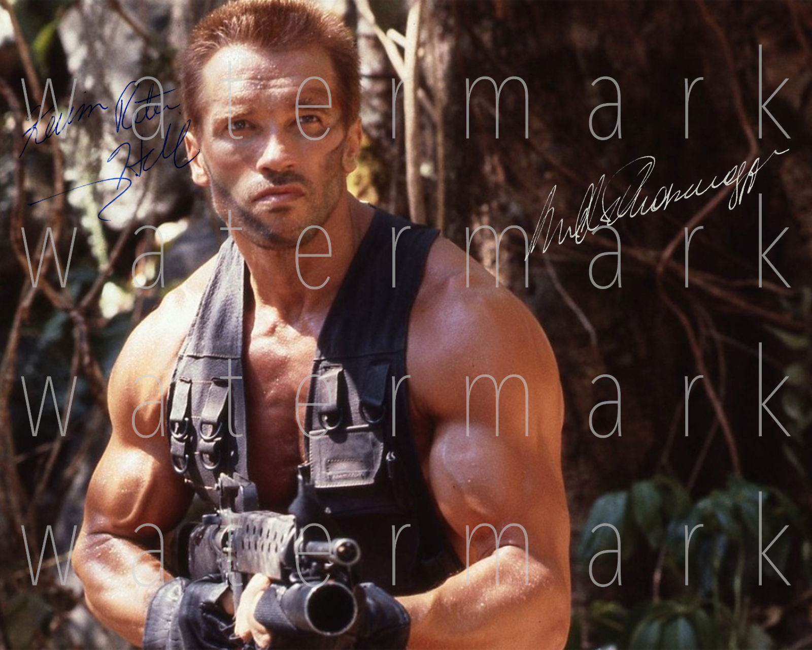 Predator Schwarzenegger signed 8x10 inch Photo Poster painting picture poster autograph RP