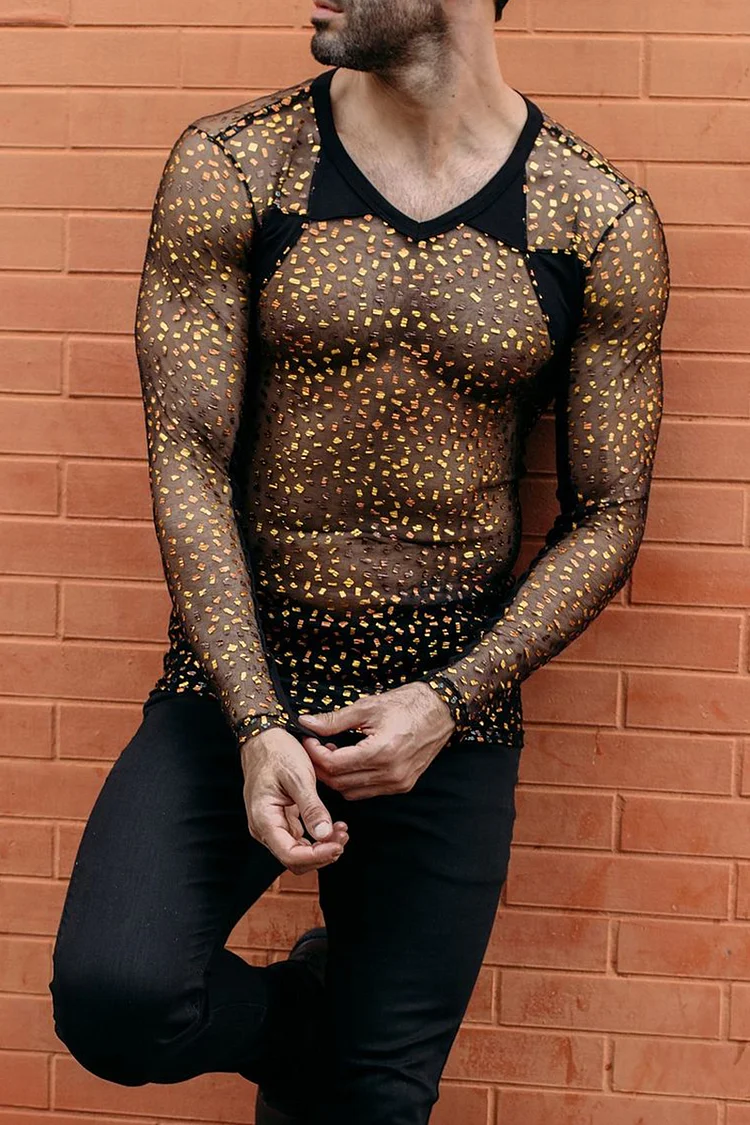 See-Through Mesh Patchwork Metallic Coated Irregular Dot Stretchy Top [Pre-Order]