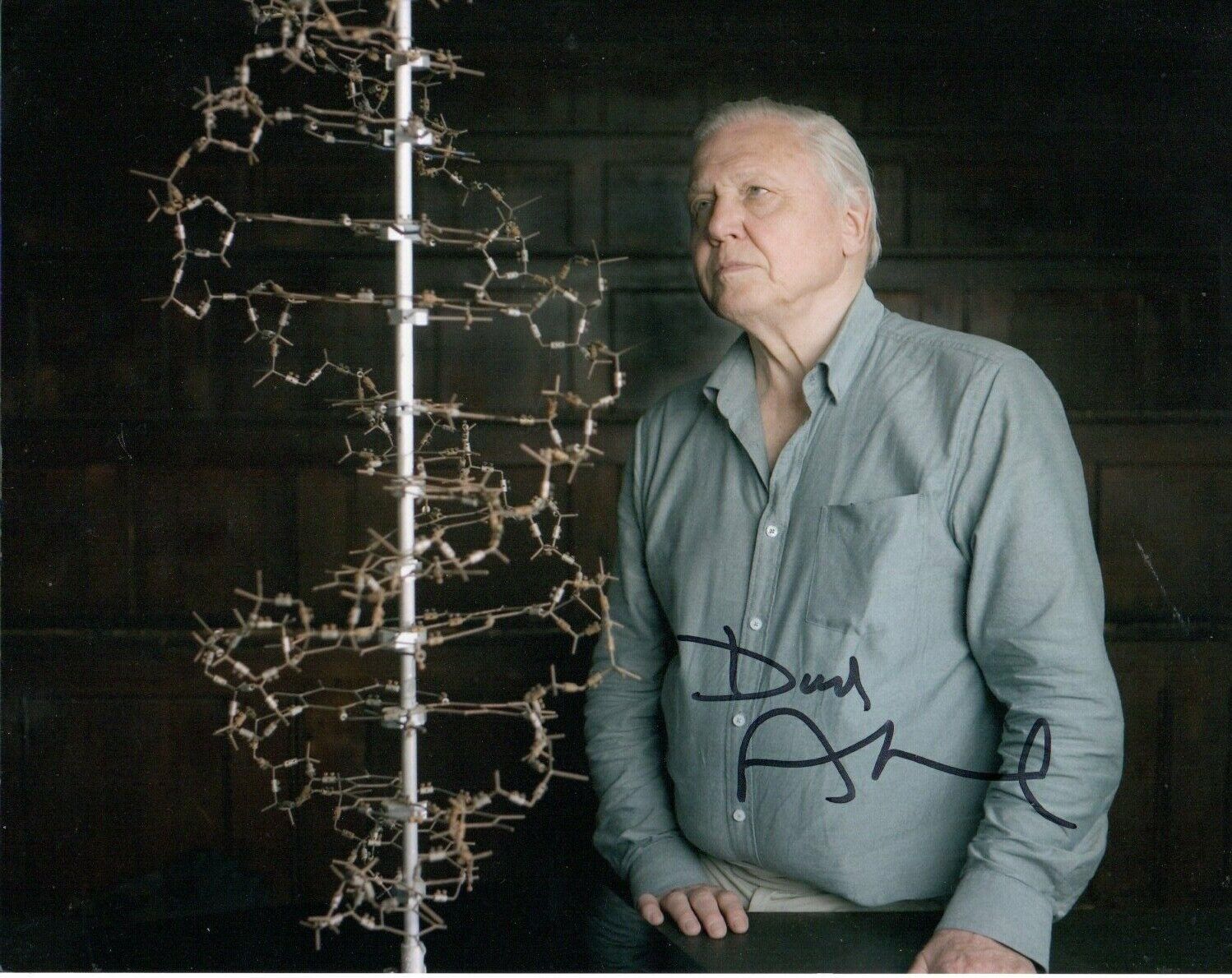 David Attenborough HAND Signed 10x8' Photo Poster paintinggraph Naturalist Broadcaster Autograph