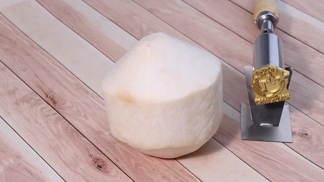 Custom Branding Iron For Woodworkers Adjustable Temperature Heated Wood Stamp Personalized Electric Logo Iron for Business Hotel Use