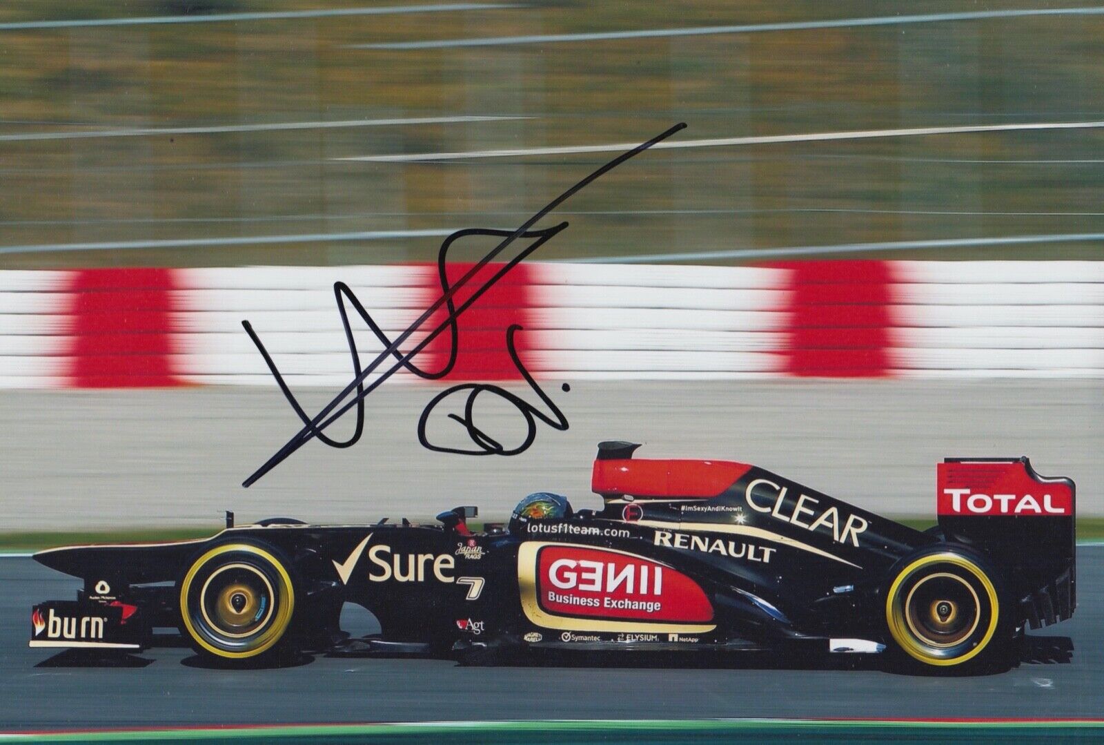 Davide Valsecchi Hand Signed 12x8 Photo Poster painting F1 Autograph Lotus F1 1