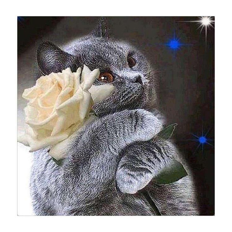 Cat   Diamond Painting 30*30cm