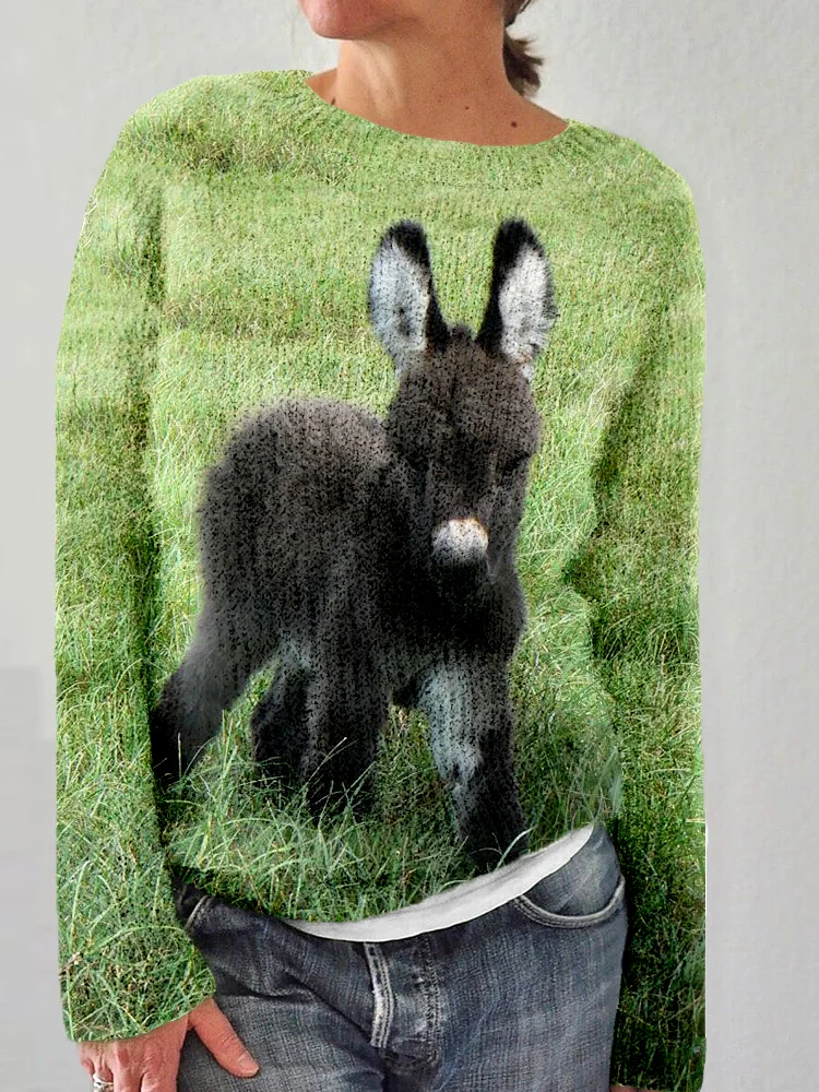 Comstylish Cute Baby Donkey Pattern Crew Neck Cozy Knit Sweater
