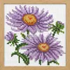 September - Aster Partial Bead Embroidery Kit 9CT Pre-Printed Bead Cross stitch 23*23CM