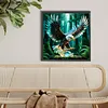 Diamond Painting -DIY Round Drill Hawk(40x40cm)