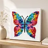 DIY Pre-Framed Butterfly Button Art Canvas Kit