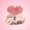 Gioiacombo™ Regalo di San Valentino 🎁Albero dell'amore in fiore di carta