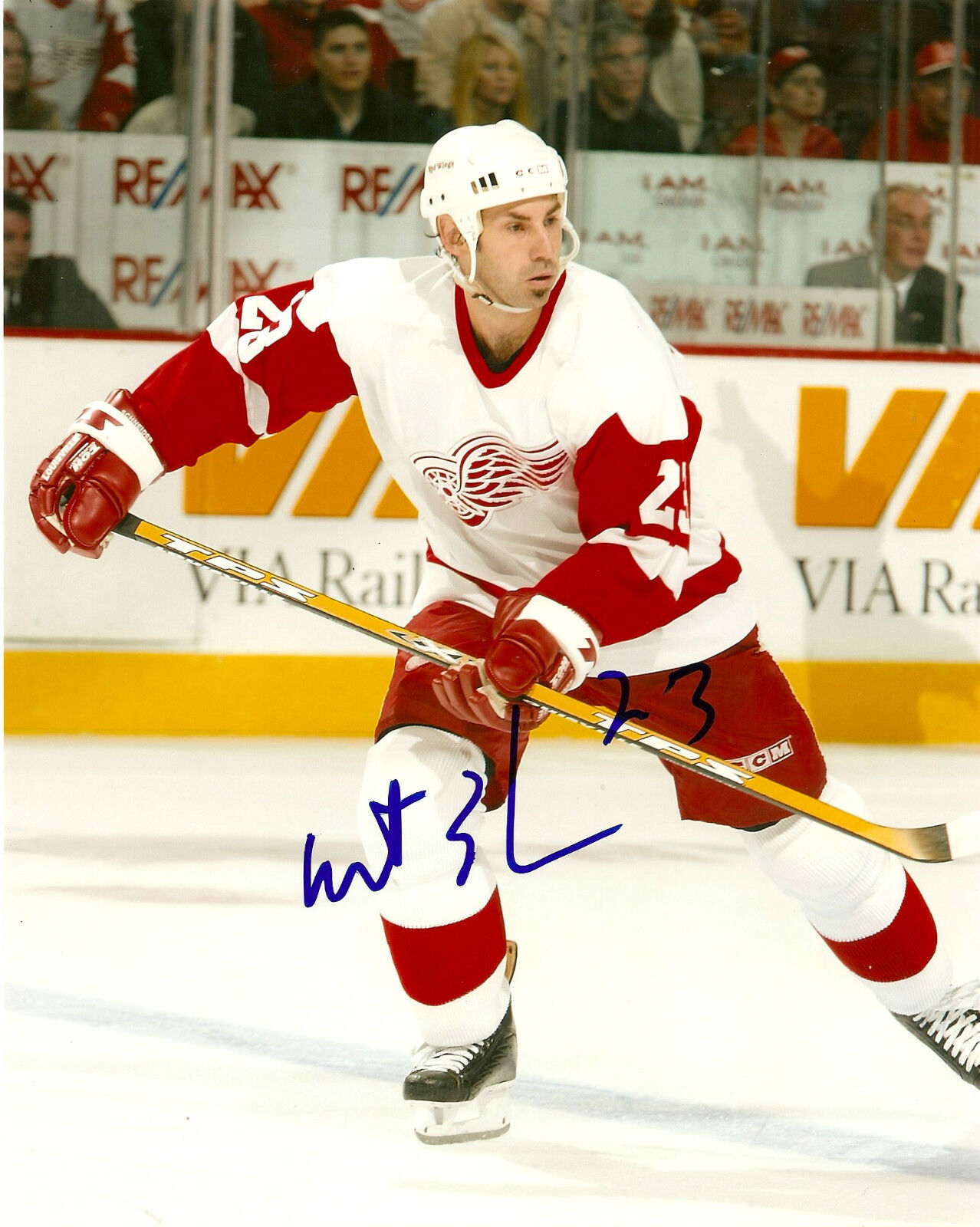 Detroit Red Wings Matheiu Schneider Signed Autographed 8x10 Photo Poster painting COA