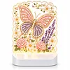 DIY Diamond Art LED Night Light &ndash; Light-Up Table Decor, Double-Sided Printed DIY Crystal Pearl Painting Decoration for Holiday & Gifts(Butterfly)