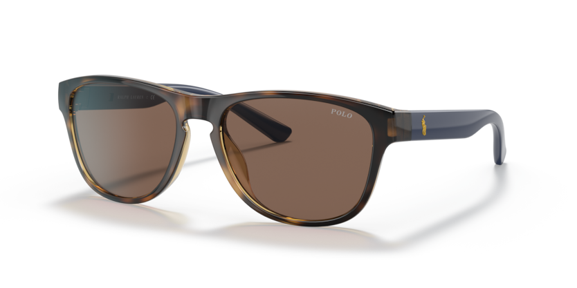 POLO RALPH LAUREN 0PH4180U POLO RALPH LAUREN Blakspecs