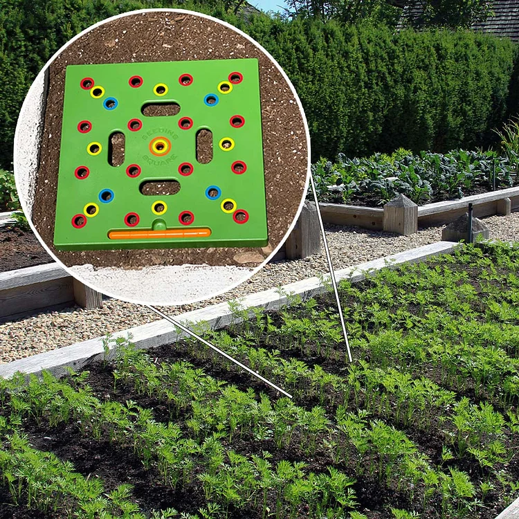 Seeding Square™ - Ultimate Garden Template + Seed2Splendor e-Guidebook