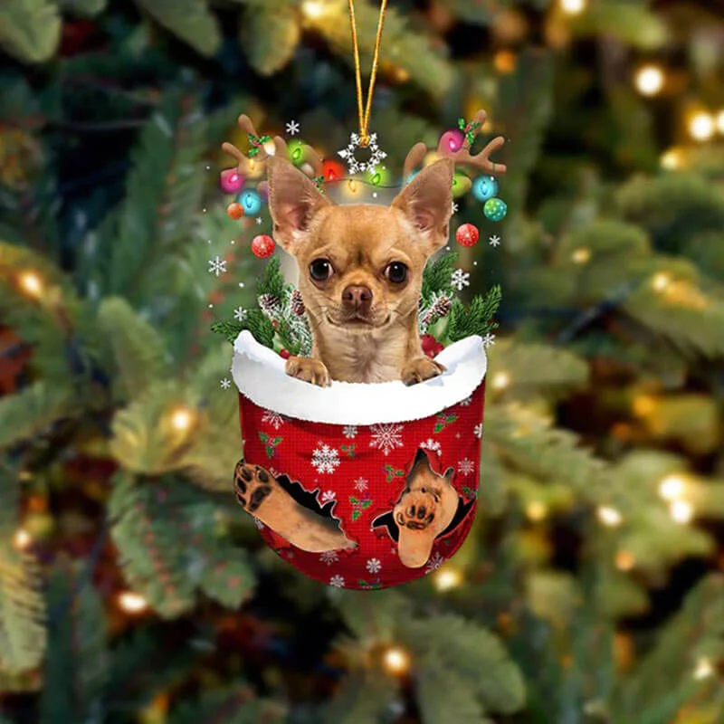 VigorDaily Chihuahua In Snow Pocket Christmas Ornament SP025