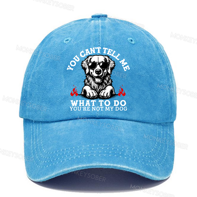Personalized You Can't Tell Me What To Do You're Not My Dog Funny Washed Baseball Caps