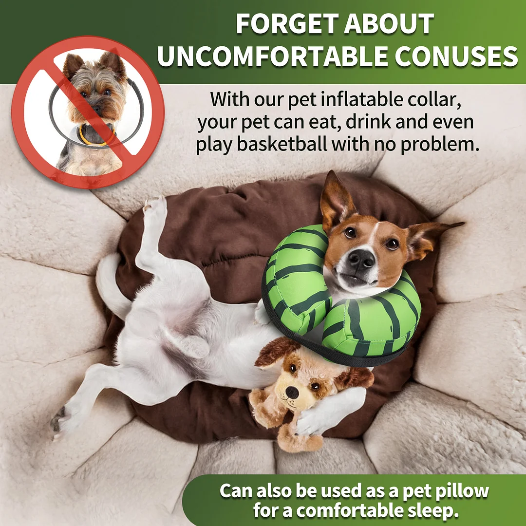 Protective Inflatable Collar for Dogs and Cats - Soft Pet Recovery Collar Doesn't Obstruct View, Small Size, Watermelon Look