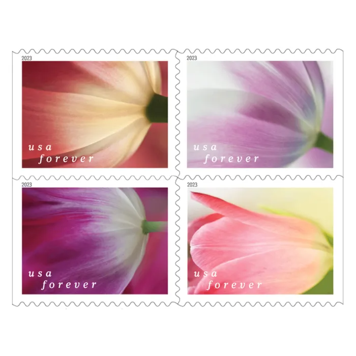 Tulips Blossom on New Forever Stamps - Newsroom 