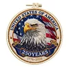 Eagle America 250th Anniversary-DIY Embroidery Kit with Pattern Cotton Threads Needles Hoop 30*30cm tapestrymarket