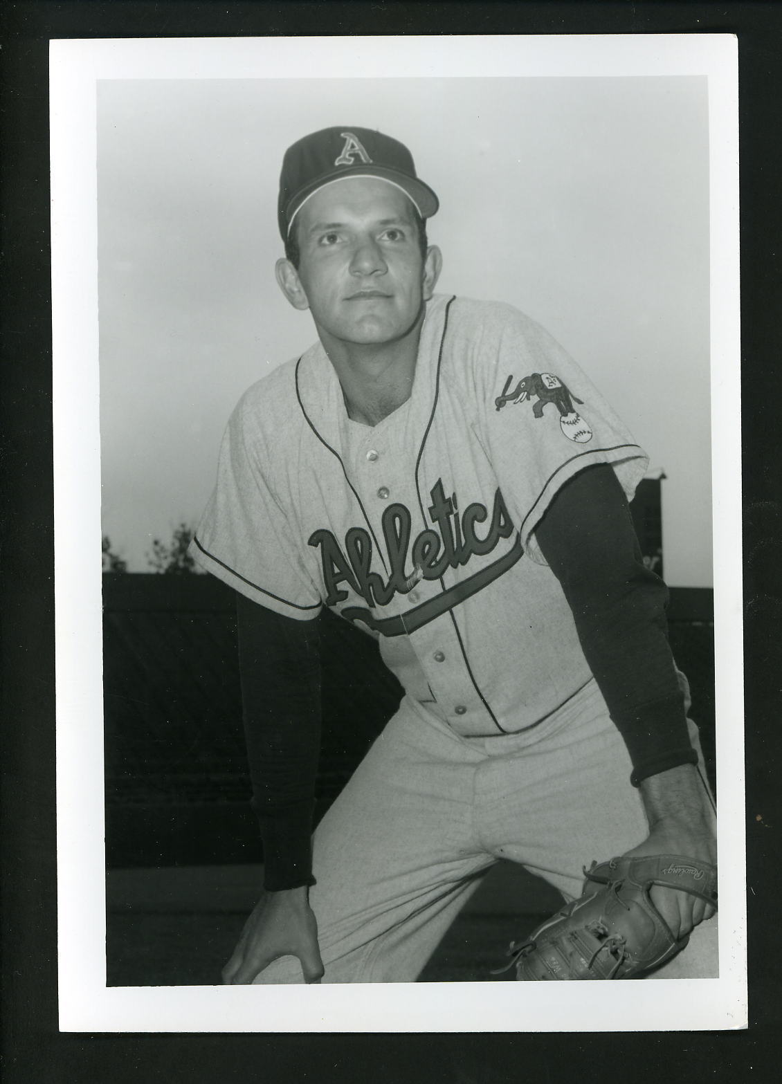 Johnny Groth circa 1956 Press Original Photo Poster painting by Don Wingfield Kansas City A's