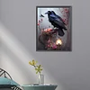 Diamond Painting-Square AB Drill Crow(45*35CM)