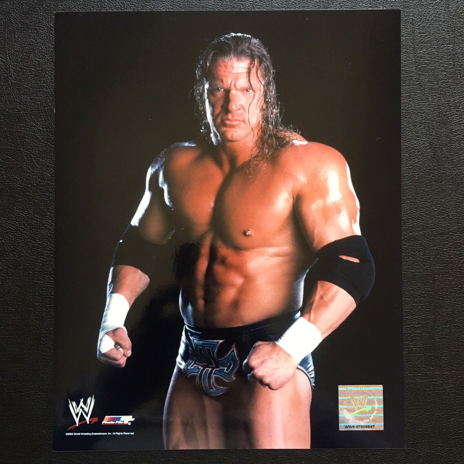 WWE Triple H Photo Poster painting File 2003 Official WWE Licensed Product 8x10 Picture HHH