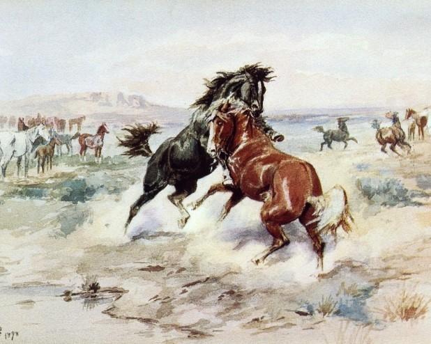 

Challenge Between Horses – Paint By Numbers - 40*50CM, 501 Original