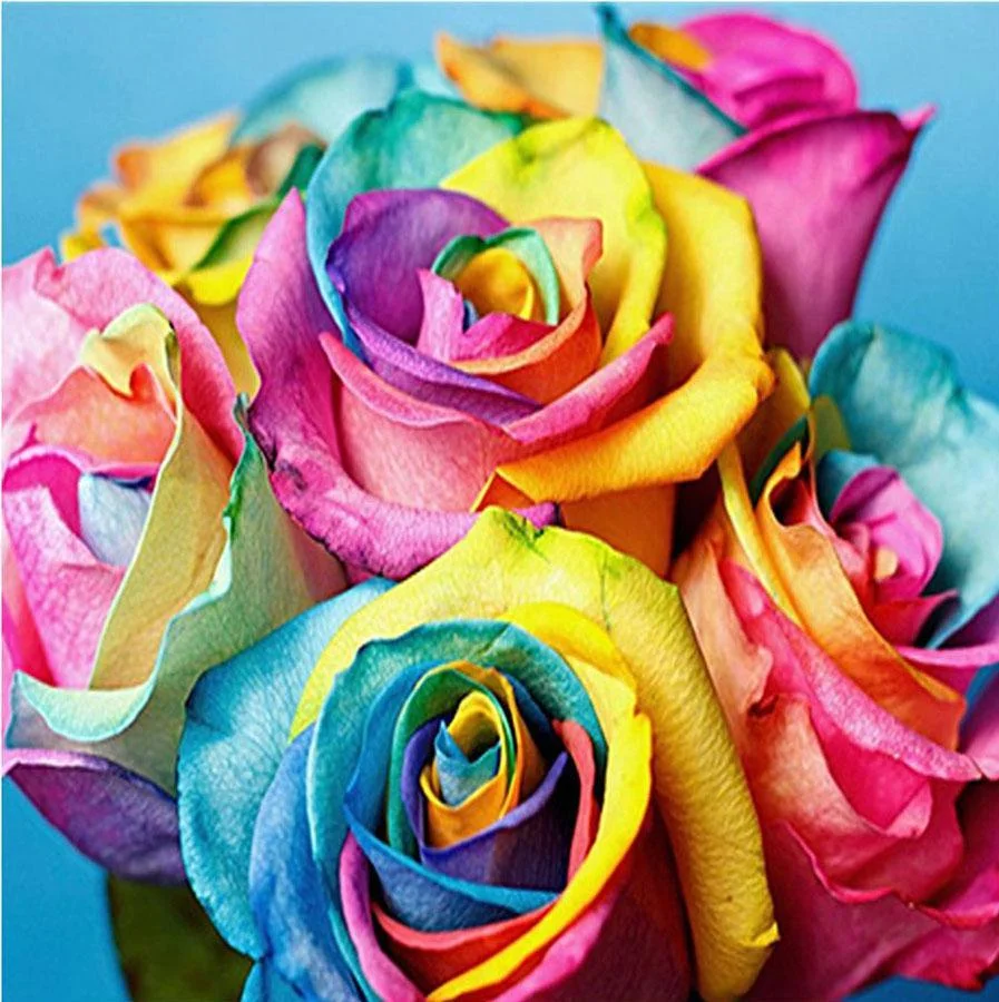 Diamond Painting - Full Round Drill - Colorful Rose(30*30cm)