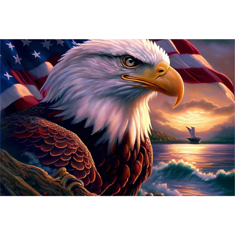 American Eagle By The Sea 60*40CM (Canvas) Full Round Drill Diamond Painting gbfke