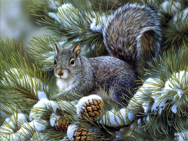 Diamond Painting - Full Round/Square Drill - Squirrel(30*40 - 50*60cm)