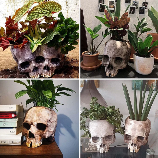Skull Planter Pots -Yard Art Outdoor and Garden Decor Outside