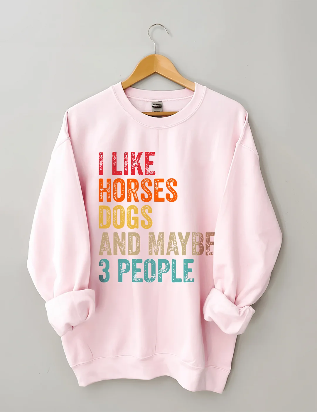 I Like Horses Dogs And Maybe 3 People Sweatshirt