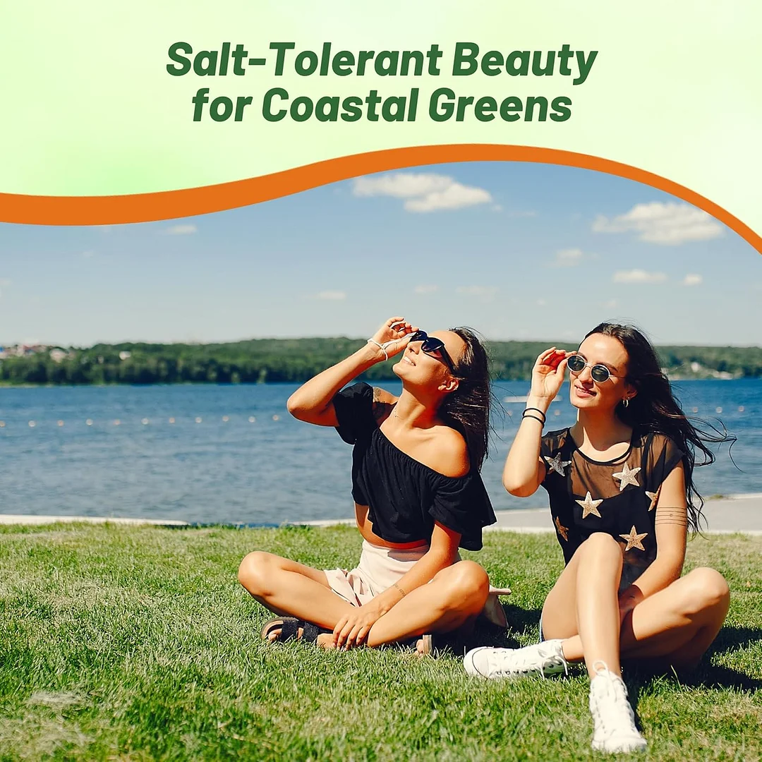 Seashore Paspalum Seed