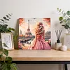 Framed Paris Dream-Paint by Numbers Acrylic Painting 35*35CM With Color Box 5ML(24Colors)