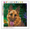 Ensemble de chien - Diamant rond partiel - 30x30cm
