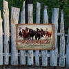Horses - Metal Tin Signs(8*12Inch/12*16Inch) - Animal