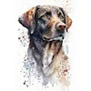 (Multi-Style) Dog-11CT Stamped Cross Stitch 40*40/40*60cm