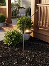 Solar Powered Firework Garden Lights Waterproof Decorative Starburst Fairy Light Easy To Install for Outside Patio Backyard Yard Walkway Decor