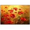 Poppy flower | Full Round Diamond Painting Kits