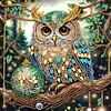 (US Local)4pack Xmas Owl-Crystal Rhinestone Diamond Painting(30x30cm)